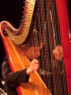 Fotografia z 2009 roku